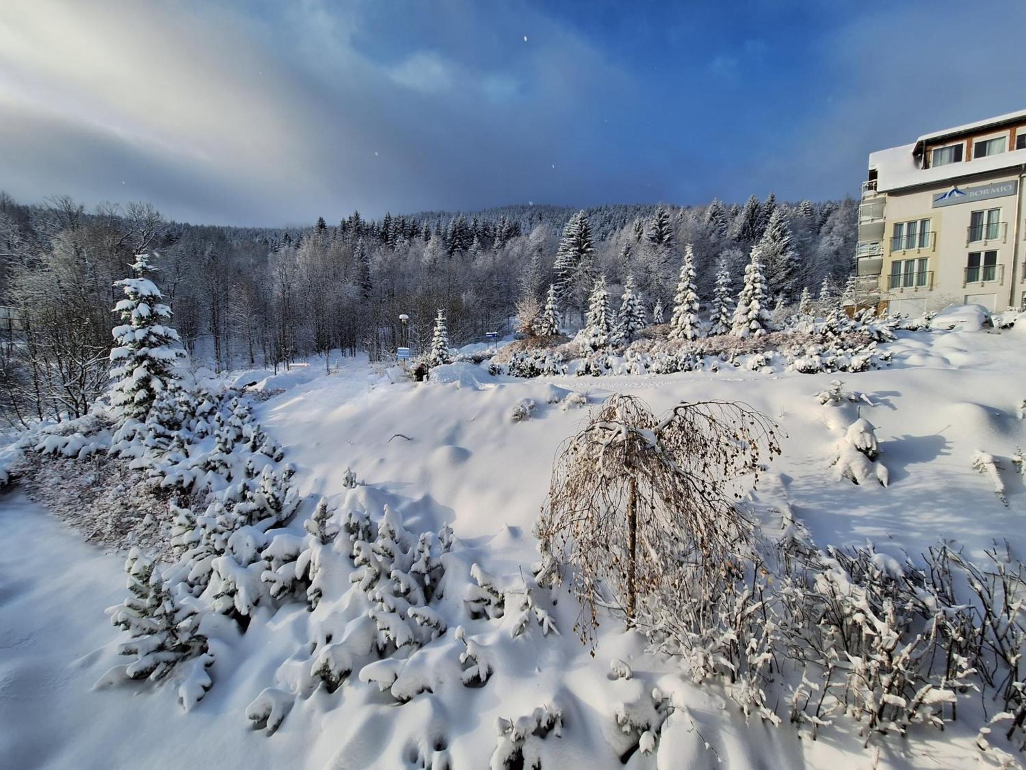 Apartamenty Biala Sowa Czarna Gora Sienna  Exteriör bild